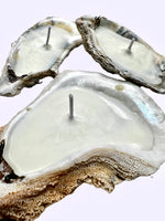 Scented Novelty Oyster Shell Candle Handmade Beeswax Soy : Black Sea / Petite