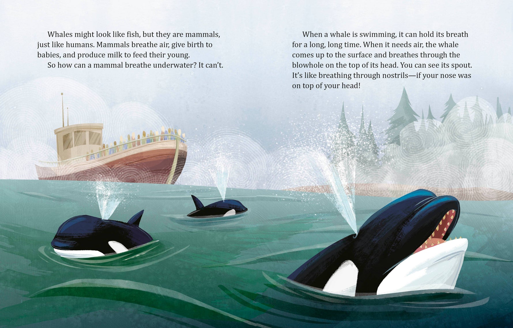 My Lgb About Whales