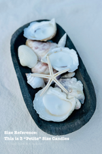 Scented Novelty Oyster Shell Candle Handmade Beeswax Soy : Black Sea / Petite
