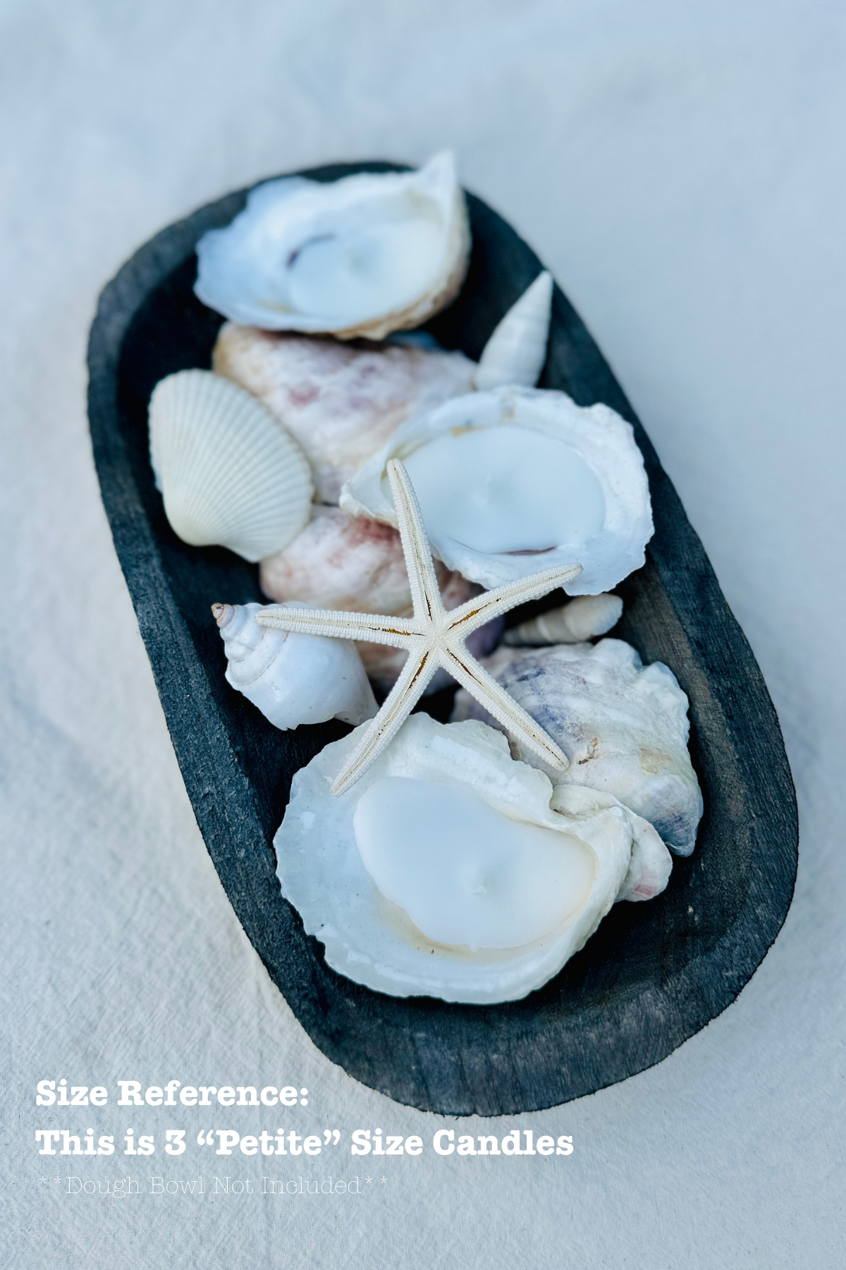 Scented Novelty Oyster Shell Candle Handmade Beeswax Soy : Black Sea / Petite