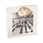 MUD PIE Acrylic Shell Frame