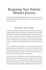 369 Manifestation Journal by Berni Johnson: Paper Over Board; 176 pages / English