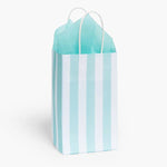 Aqua Cabana Stripe Paper Gift Bags: 125 Pack / Assortment