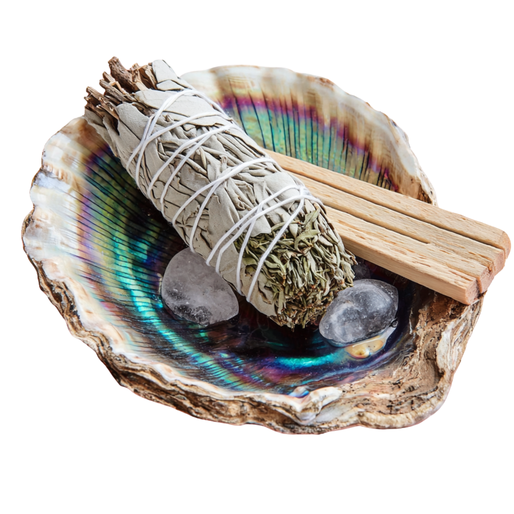 Abalone Shell Dish | Paua Home Decor Smudging Healing Ritual