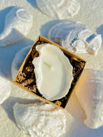 Scented Novelty Oyster Shell Candle Handmade Beeswax Soy : Black Sea / Petite