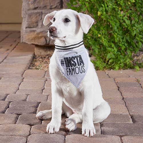 Pet Bandana - #Instafamous