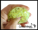 1 Pack of 3 Stress Balls -Small Amazing 1.5" Confetti Bead