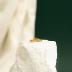 18K Gold PVD Stainless Steel CZ Mini Huggie Earrings