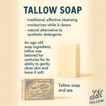 All-Natural Tallow Soap - Lavender Mint & Unscented Bar Soap with Grass-Fed Beef Tallow: Lavender Mint