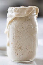 Organic, Non-GMO Sourdough Starter | Freeze Dried |  12gm