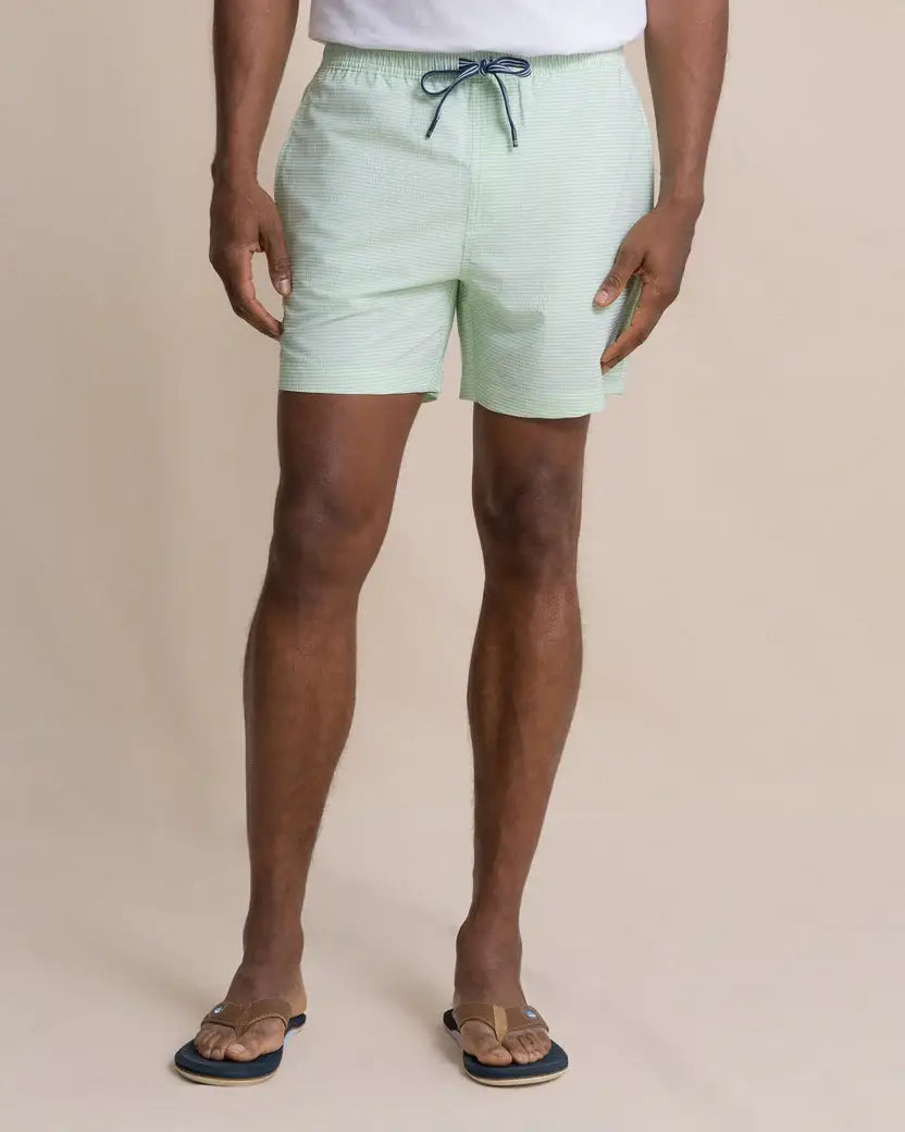 M Seersucker Stripe Swim Trunk: Green Ash - 2133 / XL