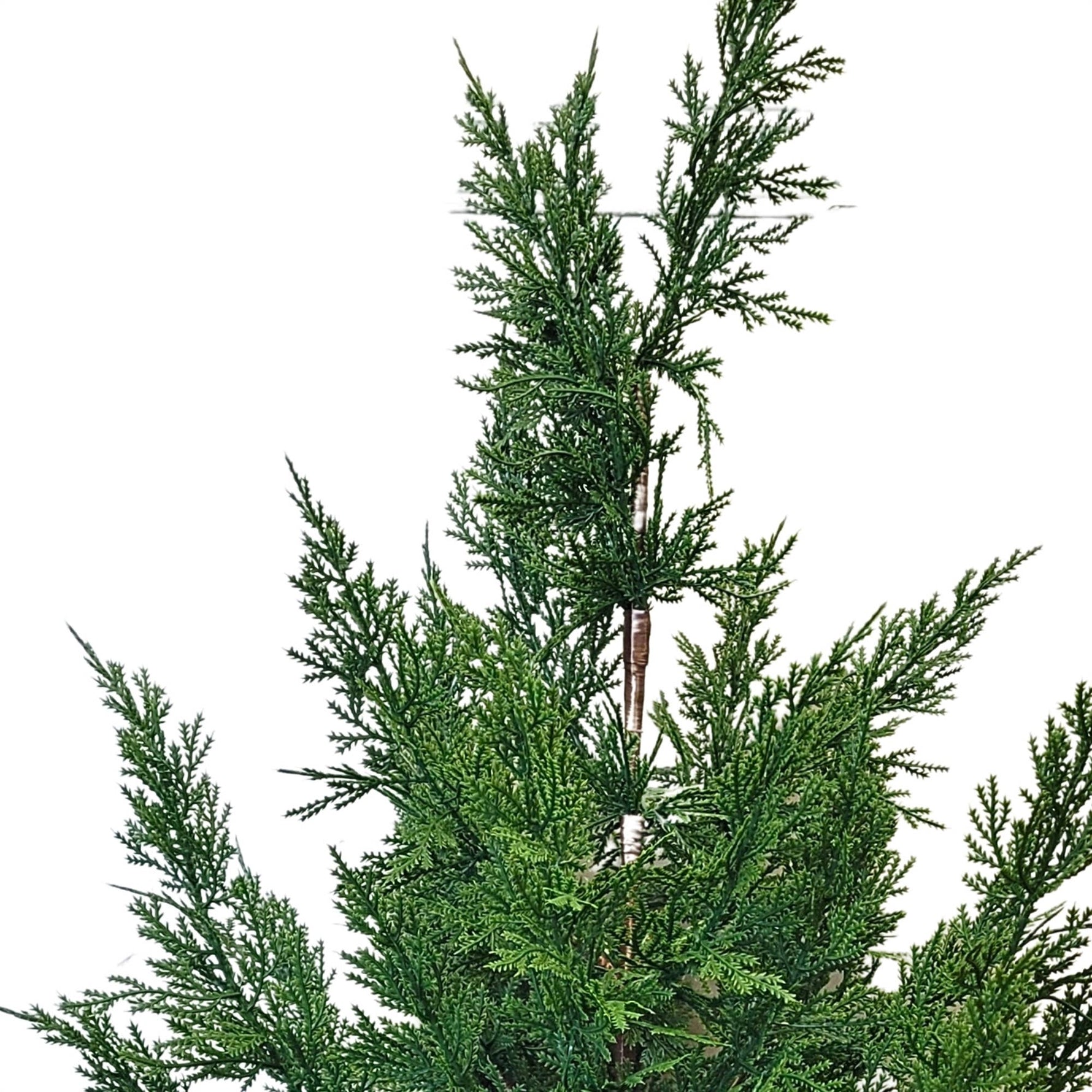 Fresh Touch Cedar Tree in Plastic Pot 29”