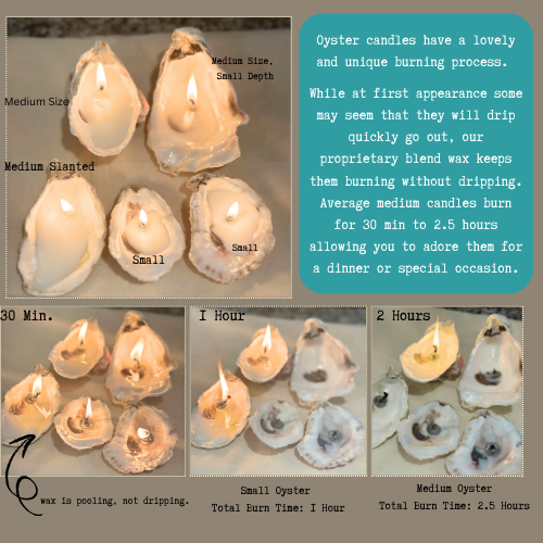 Scented Novelty Oyster Shell Candle Handmade Beeswax Soy : Black Sea / Petite
