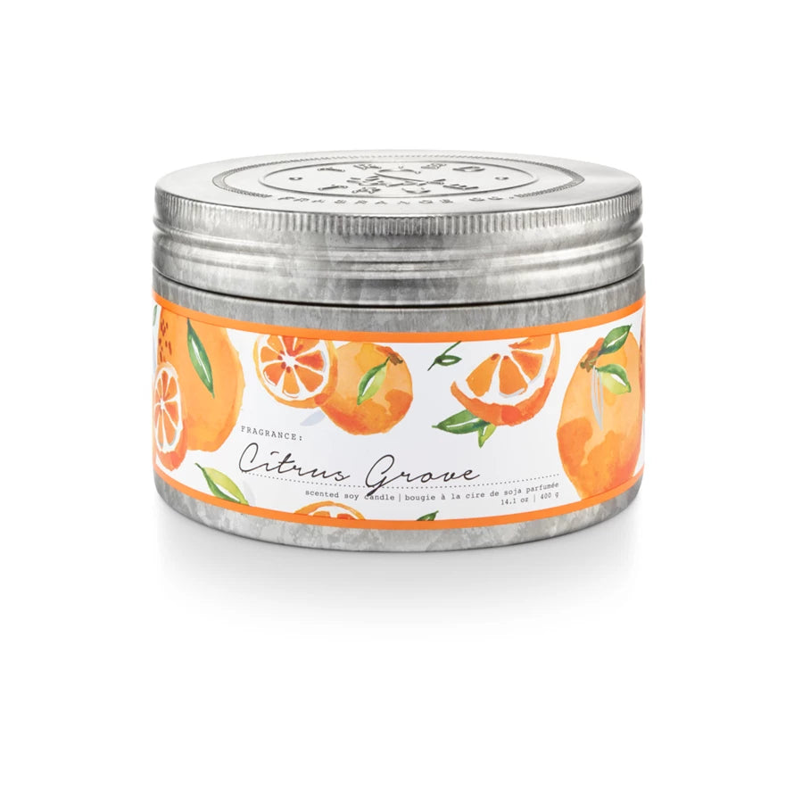 Illume Tried & True Citrus Grove Large Tin Candle